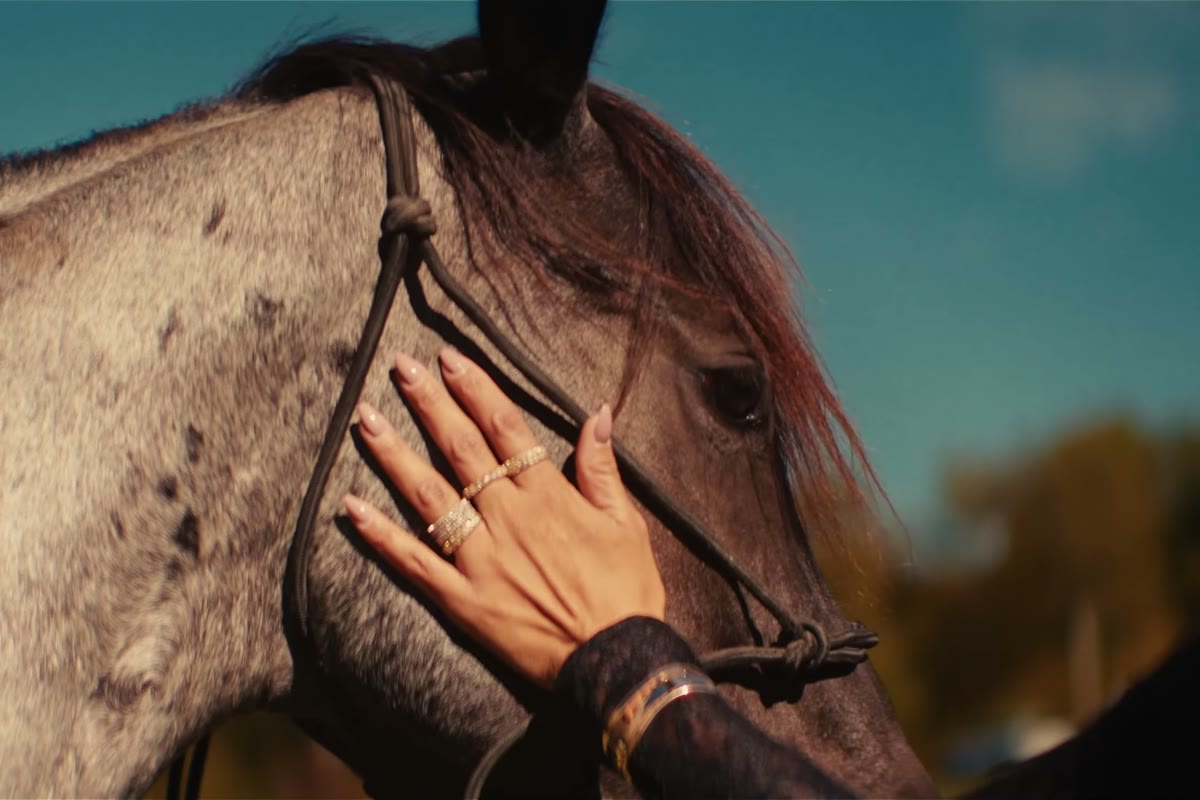 Hand with Cavaliere rings resting on a grey horse